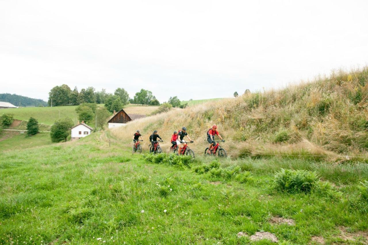 Gasthof Zum Moosmann - Familie Pachernigg Arnfels Buitenkant foto